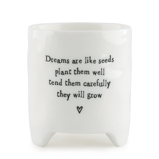 Planter-Dreams are like seeds