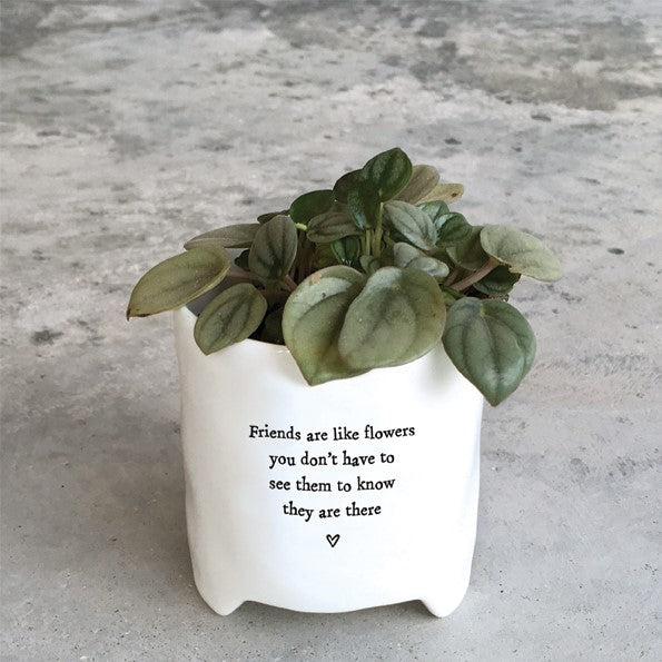 Planter-Friends are like flowers